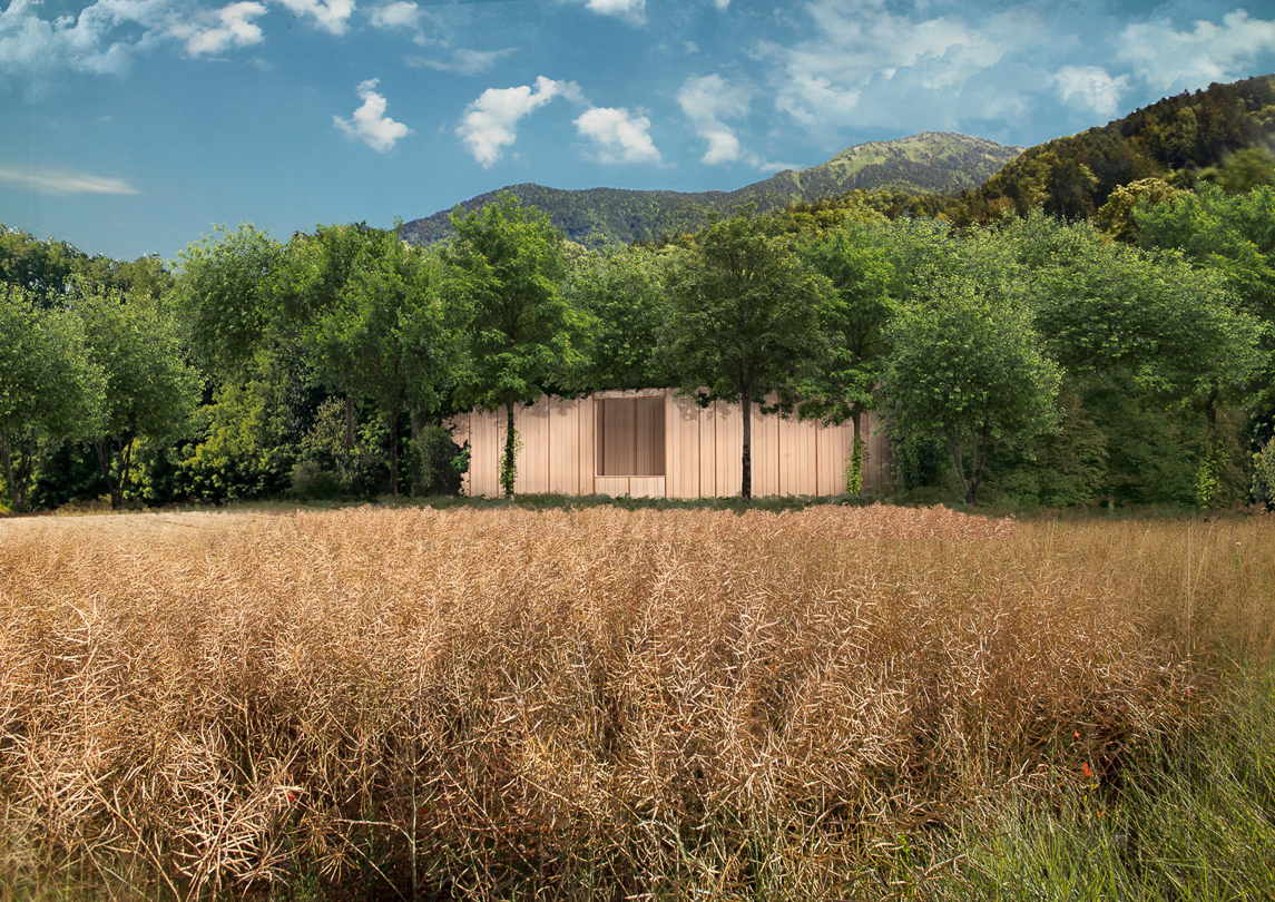 Perspective depuis la route